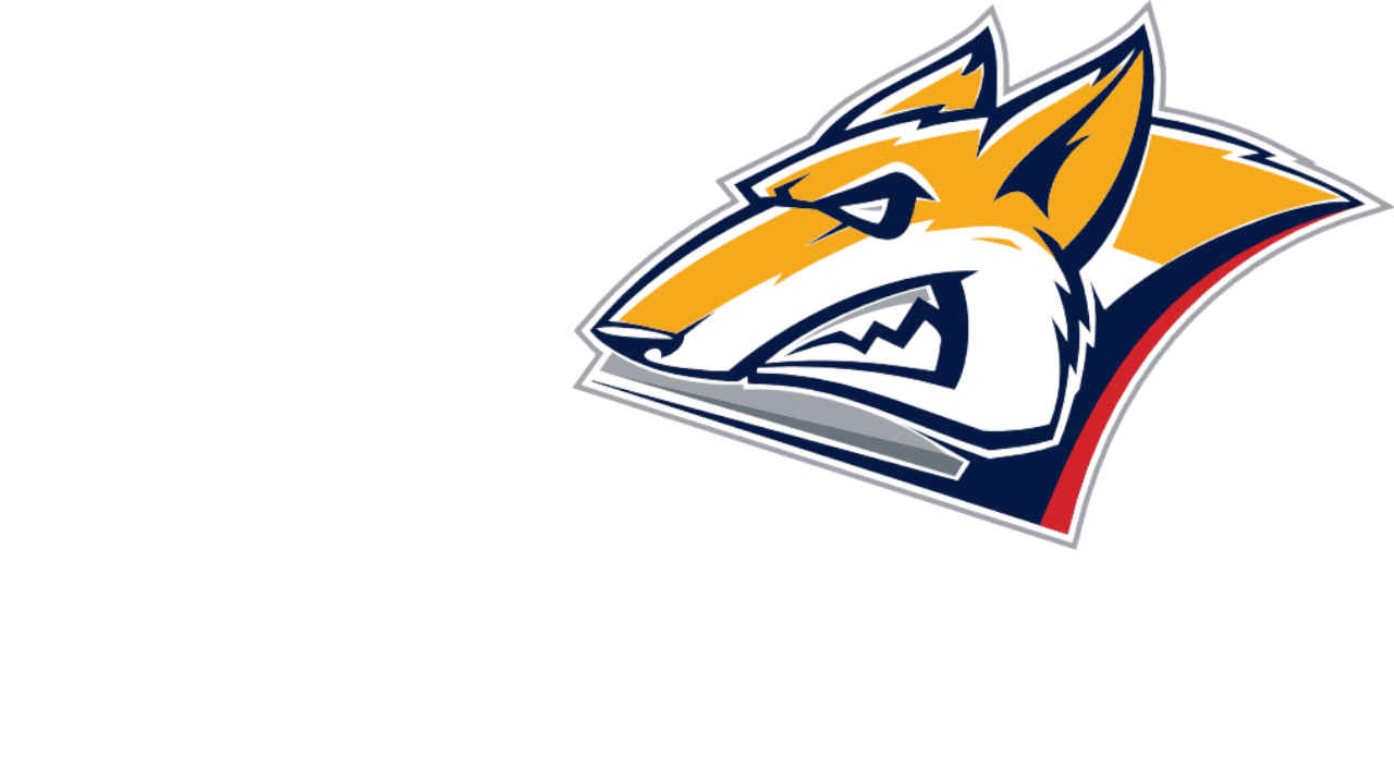 Главный баннер